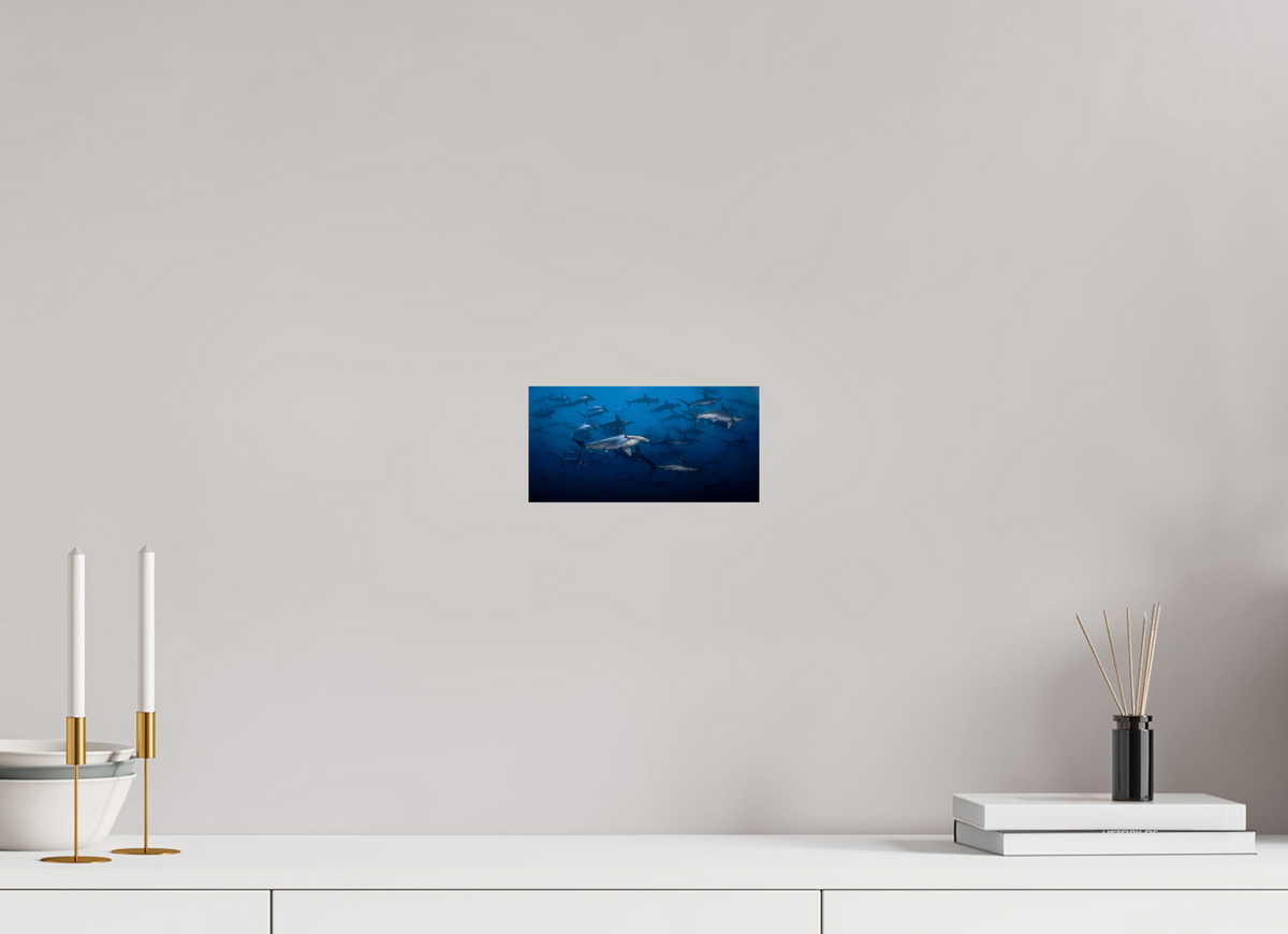 8 x 4″, ChromeLuxe HD Metal Print Hammerhead Sharks