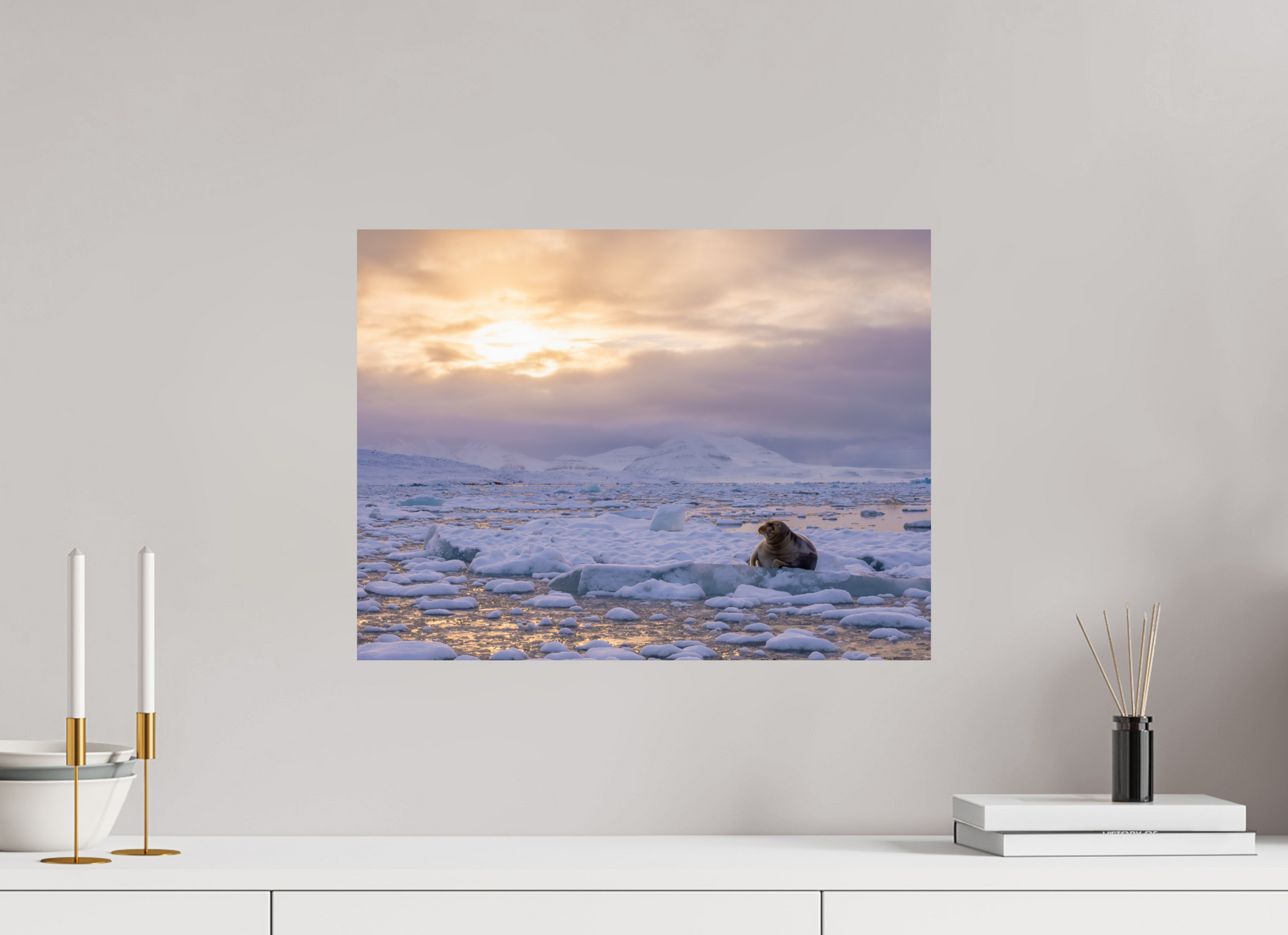 20 x 15″, Fine Art Print on Hahnemühle Baryta Bearded Seal at Sunset, 20x15