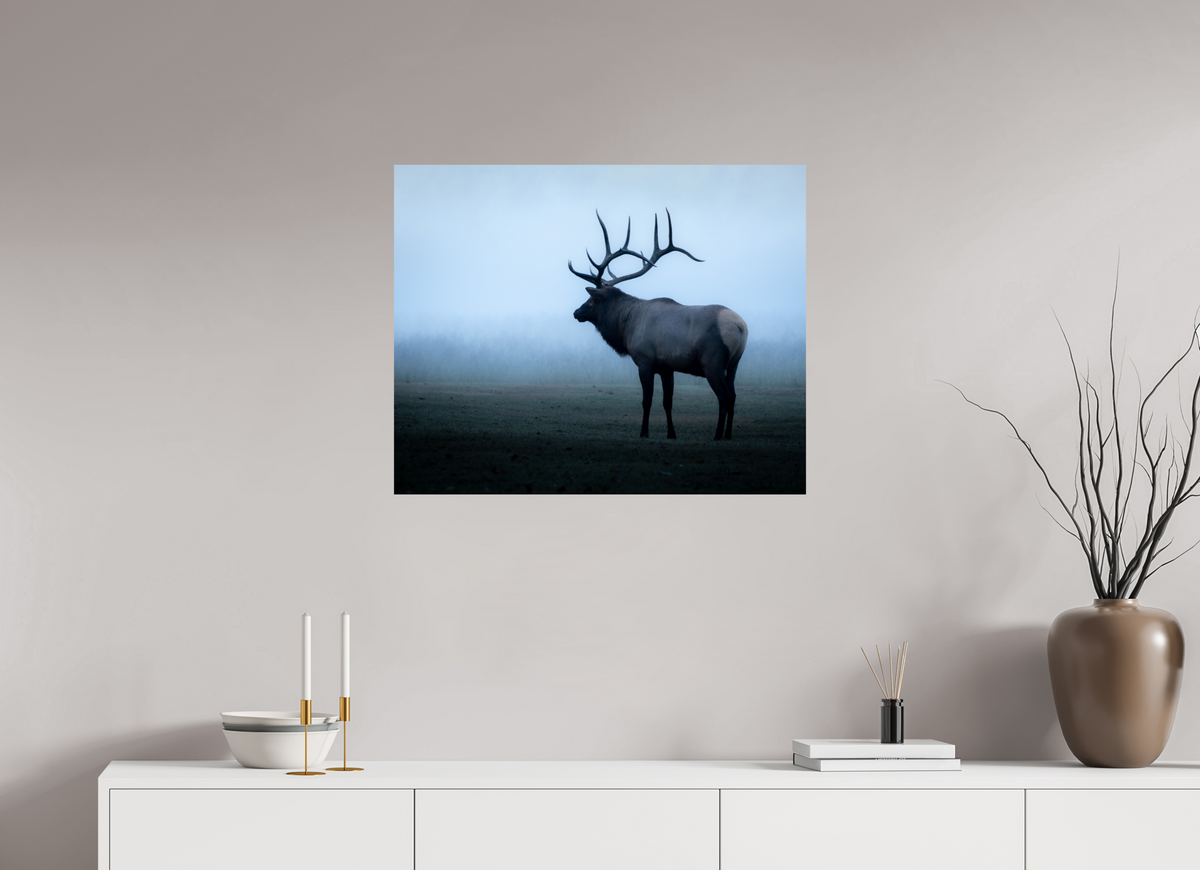 30 x 24″, Fine Art Print on Hahnemühle Baryta Elk in Fog