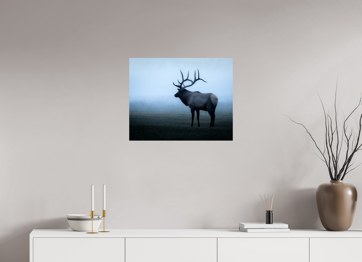 25 x 20″, Fine Art Print on Hahnemühle Baryta Elk in Fog