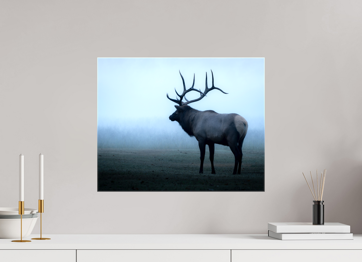20 x 16″, Glossy Canvas with Wrapped Edges Elk in Fog