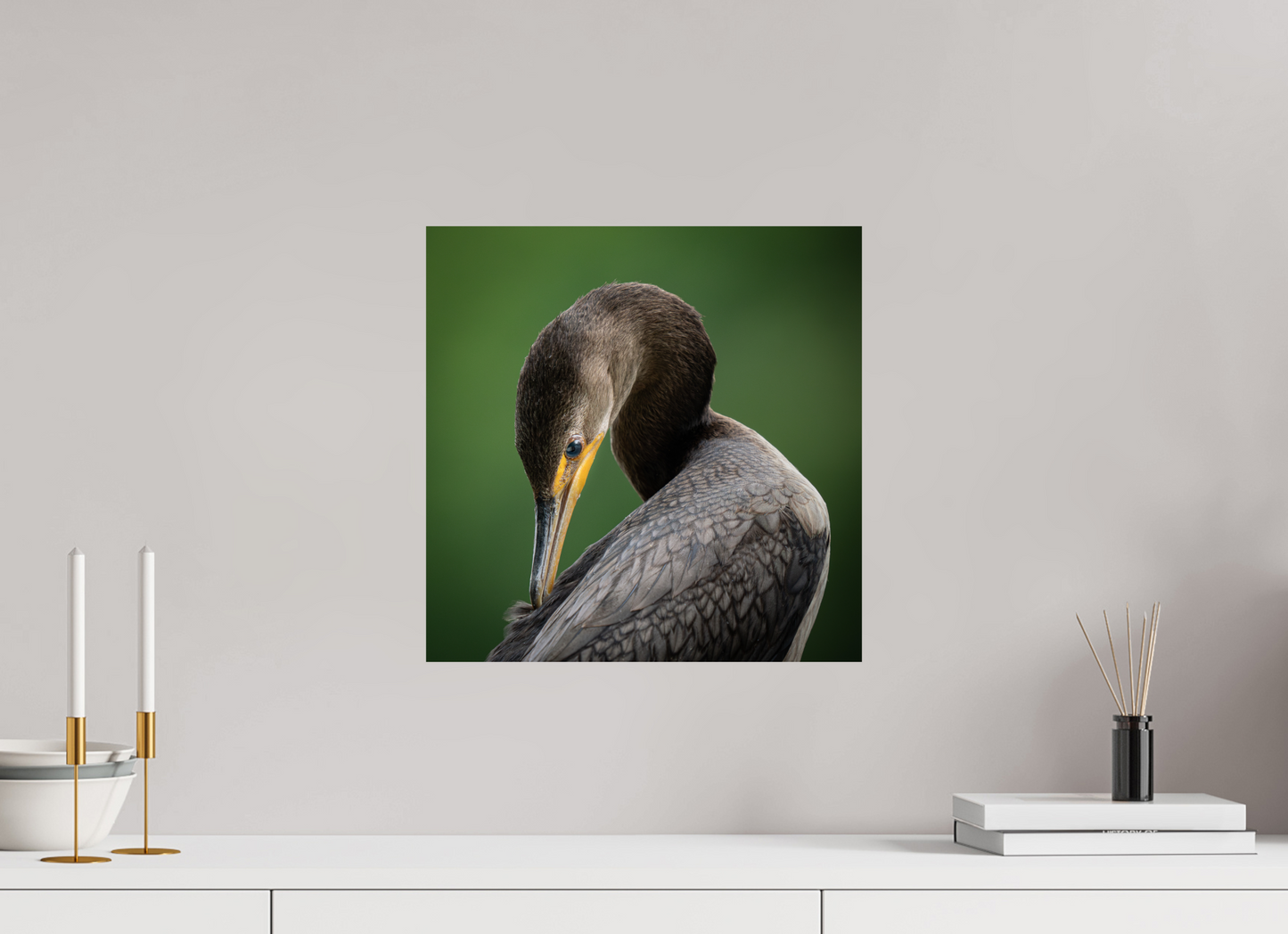 Double-crested Cormorant