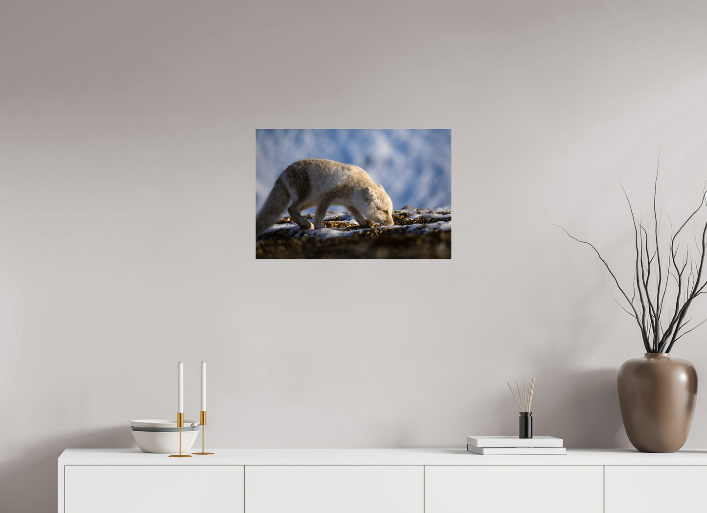 24 x 16″, ChromeLuxe HD Metal Print Arctic Fox Sniffing, 24x16