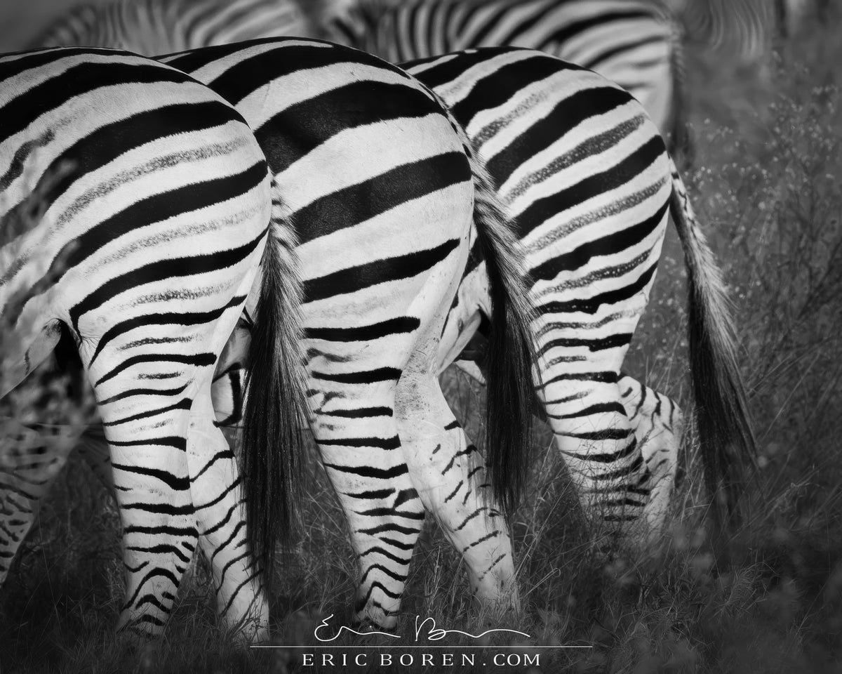 Z-Butts